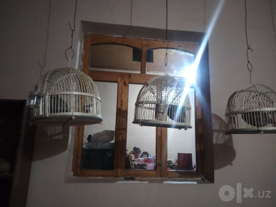 Каклик Нар серхон ром