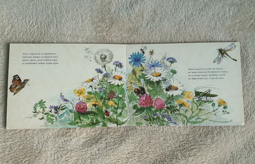 Ангел Каралийчев