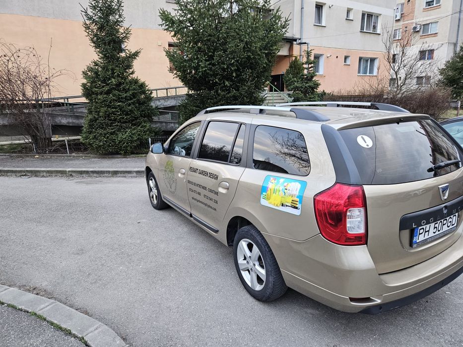 Dacia Logan MCV 0.9 TCe (90 CP) | Istoric Reprezentanță