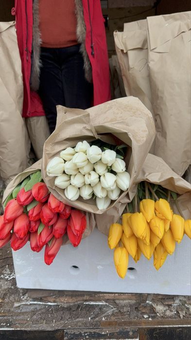 Тюльпаны оптом Алматы