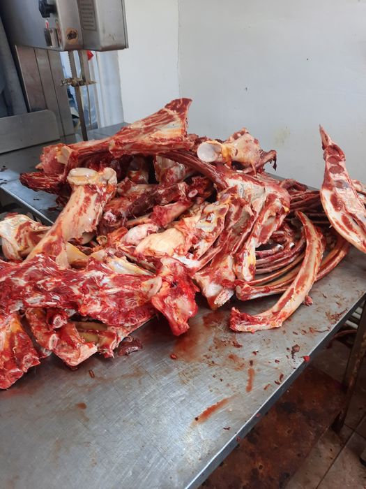 Кости бесплатно для собак