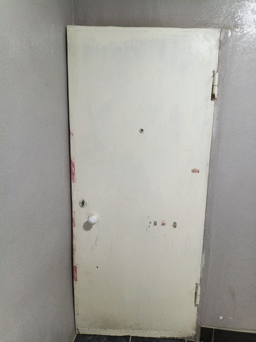 Rossiyski gaz va temir eshik