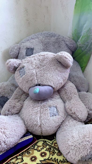 Теди айиклар катта