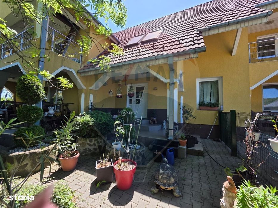 Proprietate Premium Cu 4.534 Mp Teren- Reghin Strada Pometului