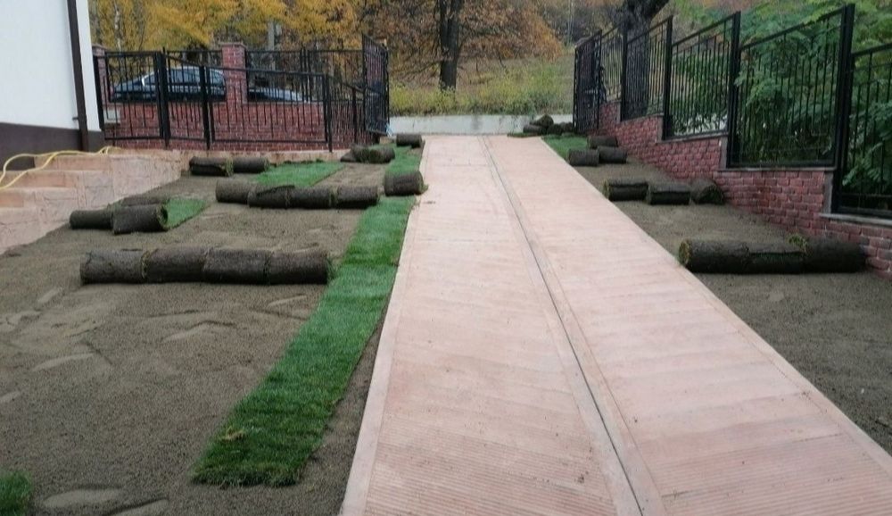 Gazon rulou de trafic 24 de lei m2.Transport și montaj inclus în preț.