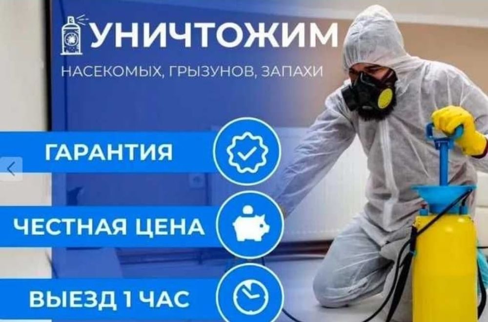 Уничтожение насекомых