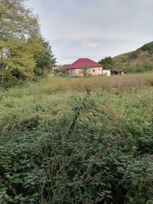 Vand Casa cu gradina