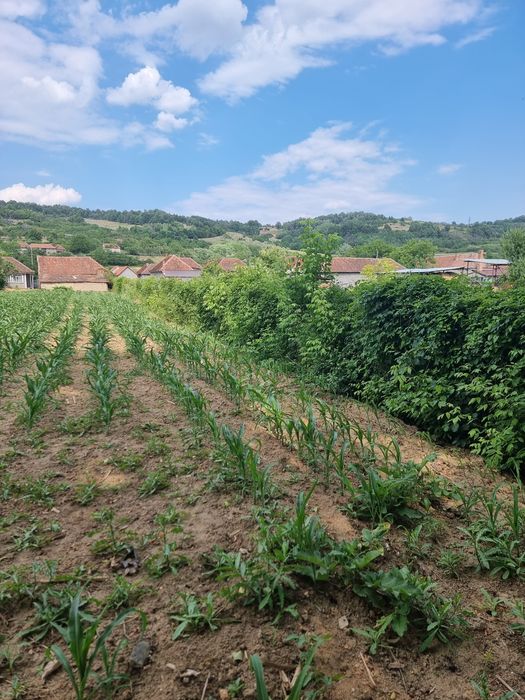 Casa de vanzare in Bihor