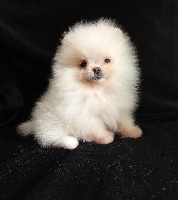 Счастье на ладошке