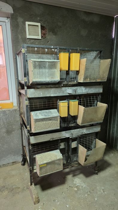 Клетки для кроликов