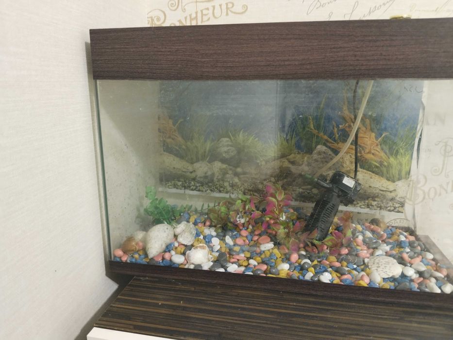 Аквариум для рыбок