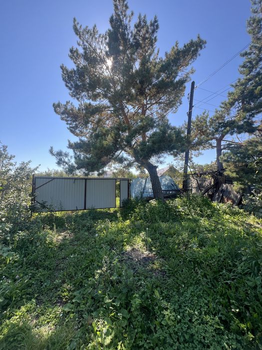 Дача в Бухтарме