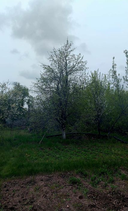 Срочно продам дачу 7,5 соток в районе Кардиоцентр