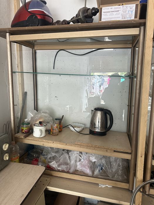 Цвет зоота красивый