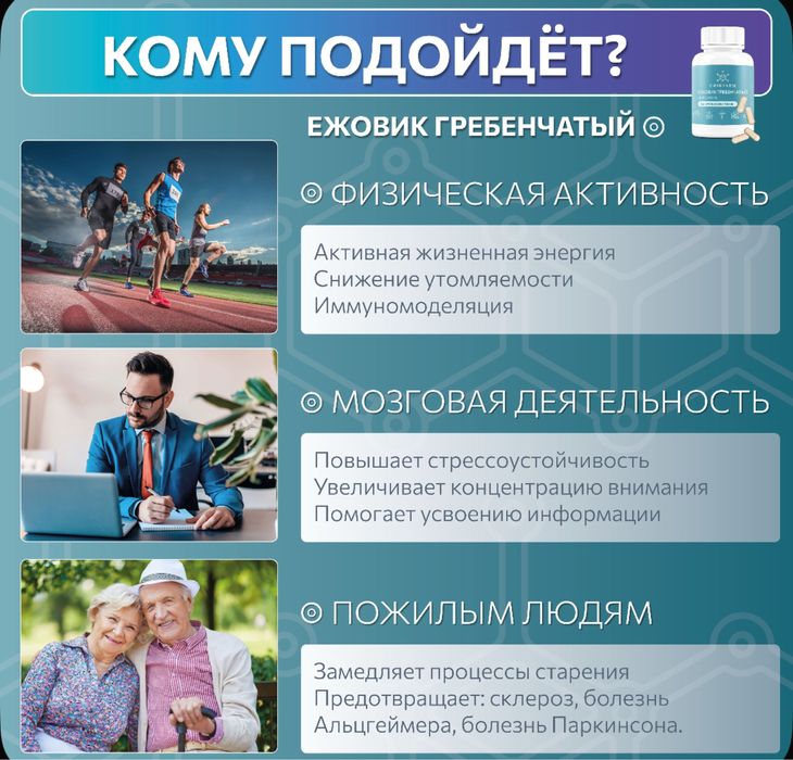 Ежовик гребенчатый и грибы в ассортиенте