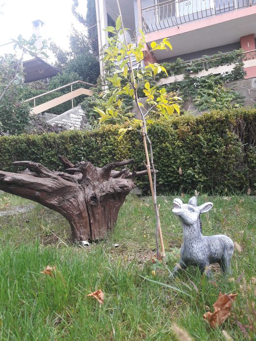 Продавам имот - четири етажна обзаведена къща