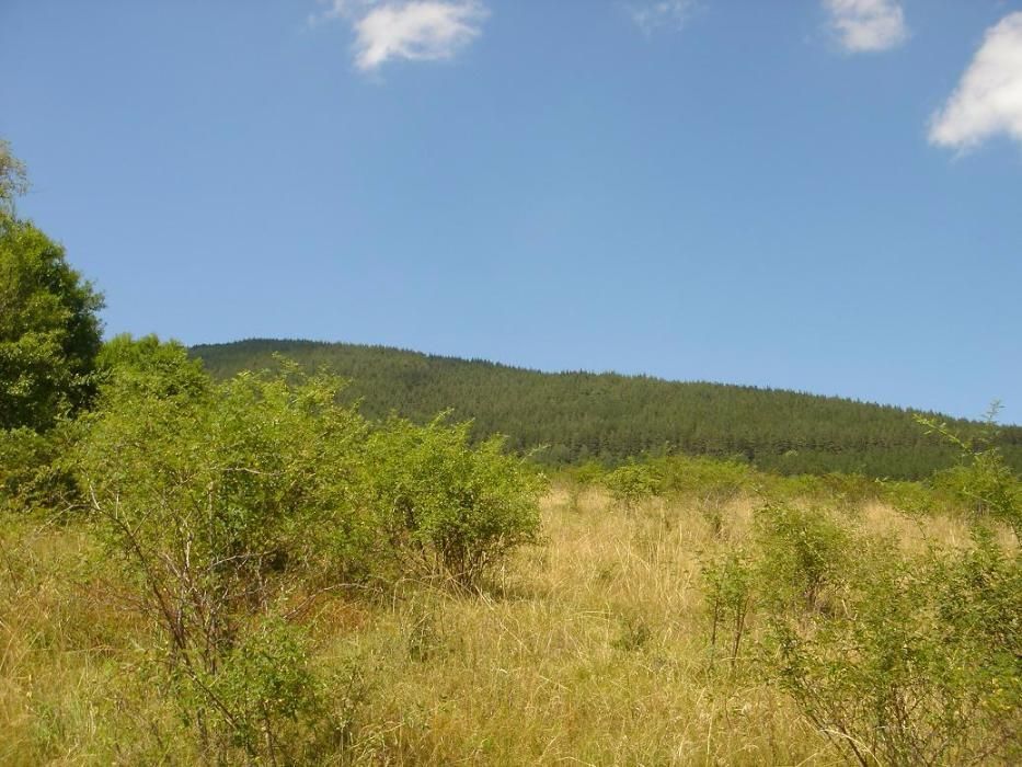 Продава се Парцел в Априлци - 6000 кв.м за 4 €/кв.м - Снимка #5