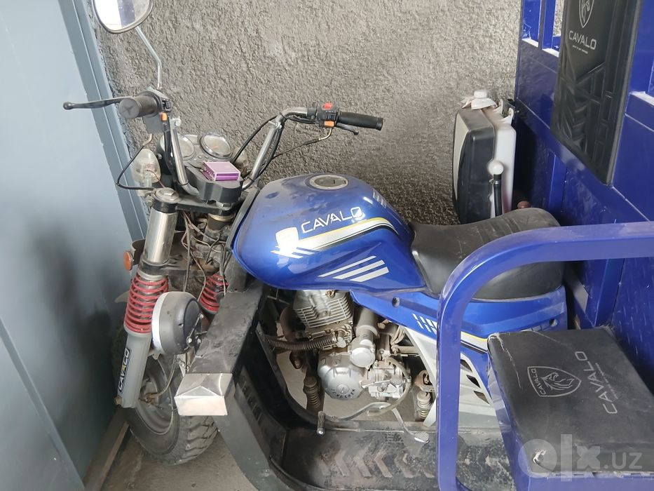 Murave Cavalo Forte R1