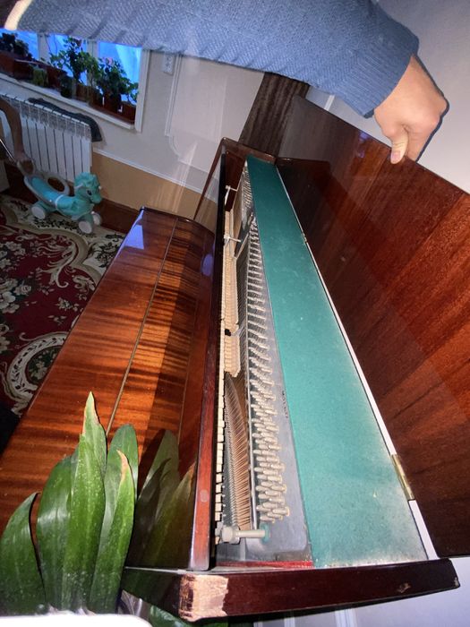 Belarus. xolati yaxshi tutilgan