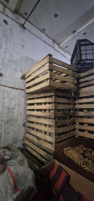 продам деревянные ящики под яблок
