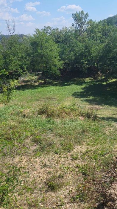 Vând teren 3231 m²