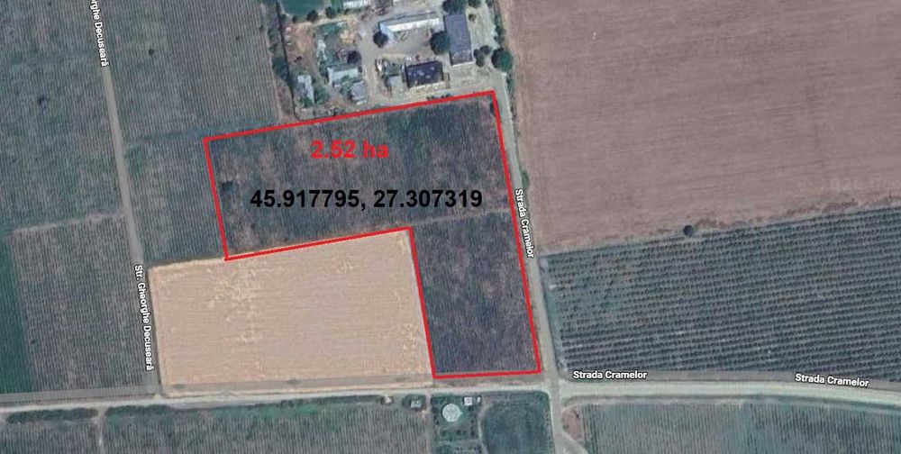 Dau in folosinta gratuita teren agricol cu vita de vie in Com. Nicoresti Jud. Galati