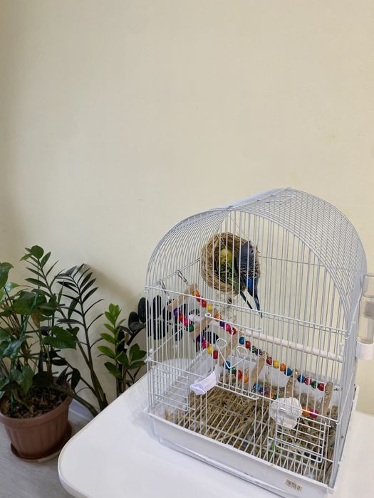 Клетка для попугаев