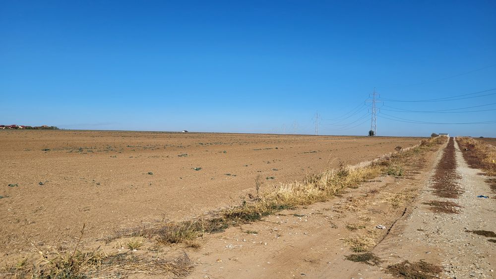 Teren de Vanzare Comuna Berceni