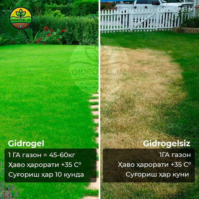 Гидрогель ўсимликлар учун