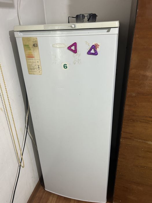 Холаделник брюсо
