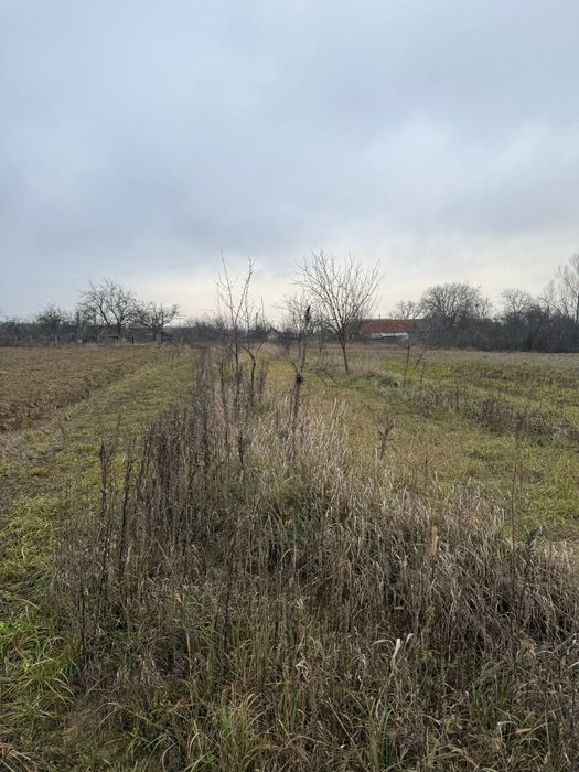 Teren intravilan loc. Bontesti