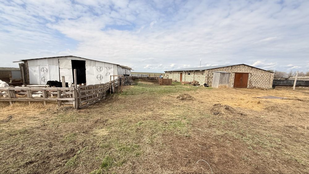 Продам хозяйство