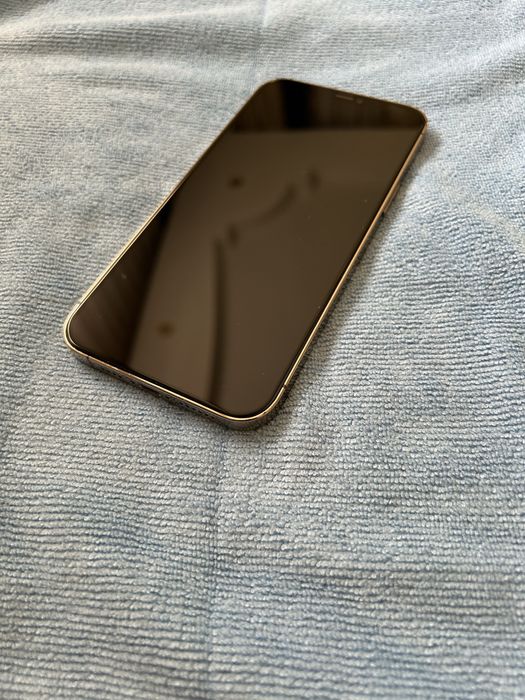 iPhone 12 Pro Max 256 GB