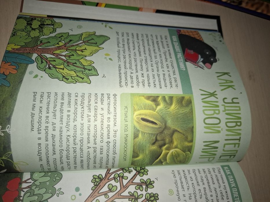 Как все устроено книга