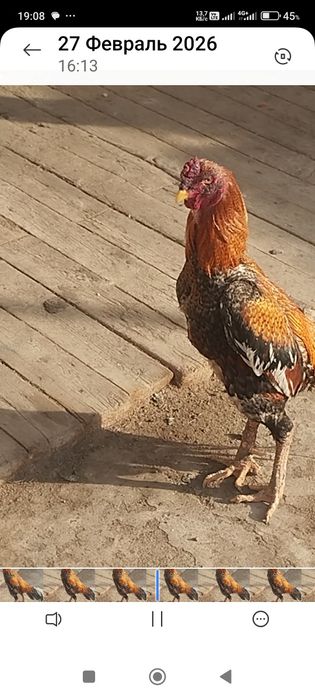 Сатлады сатлады.