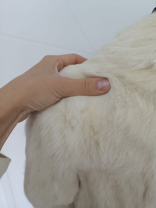 Haina de blana de iepure alb