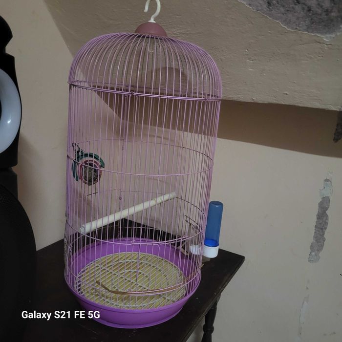 Много работи чисто нови Клетката е с размери 70 см на 35 см цена 50 лв