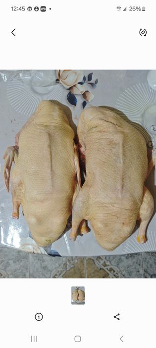 Утки мясо. Порода Черри Велли