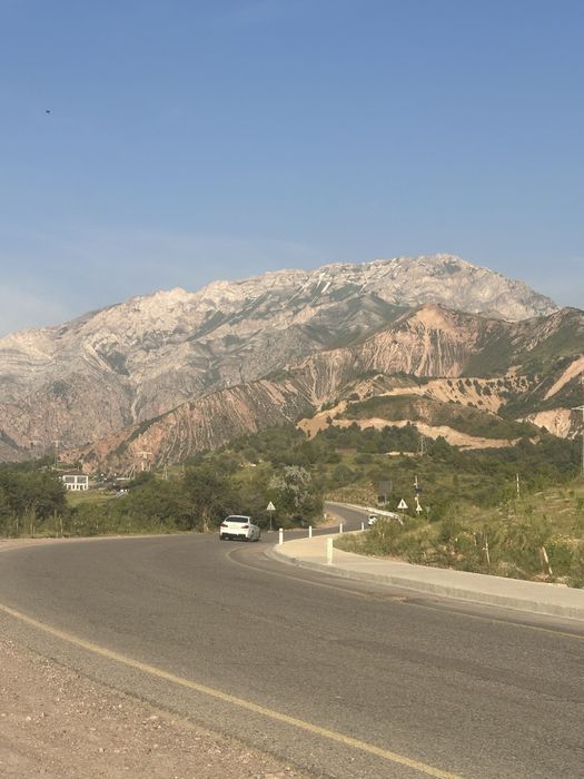 Dacha sotiladi katta chimyonda