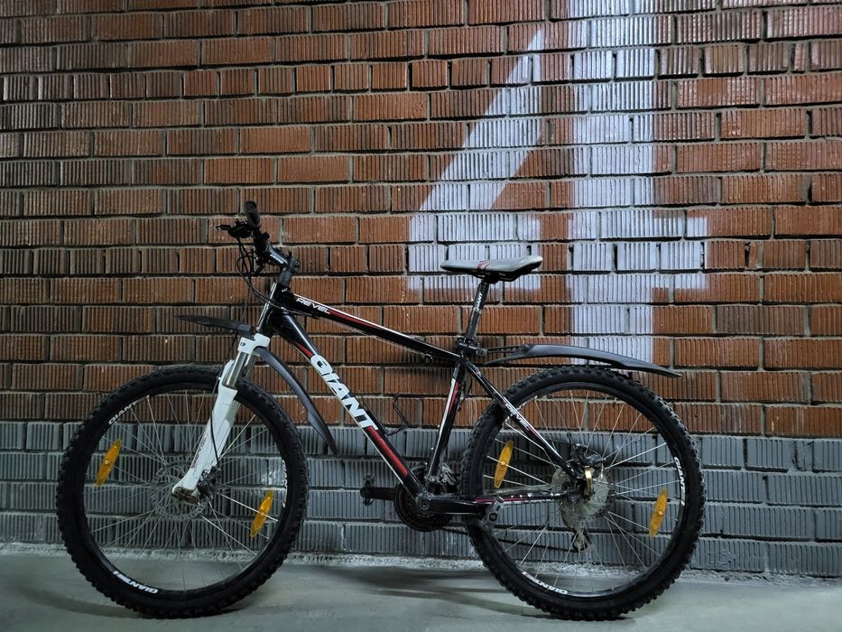 Mtb  Giant  Revel