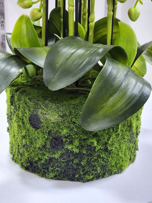 Орхидея декор для  дома идеально падарок всех