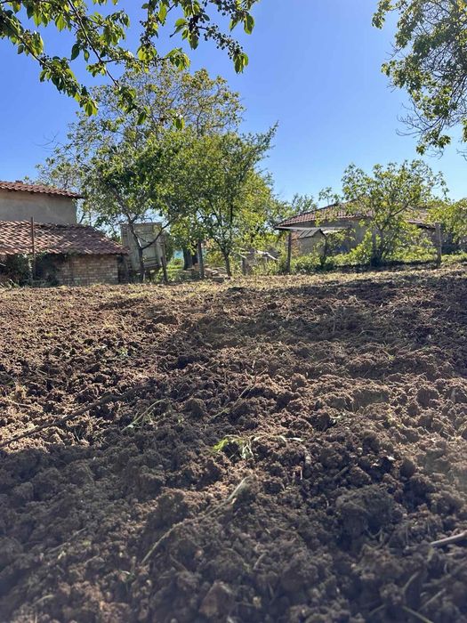 Почистване на изоставени парцели/дворове/запустели терени/Мулчиране