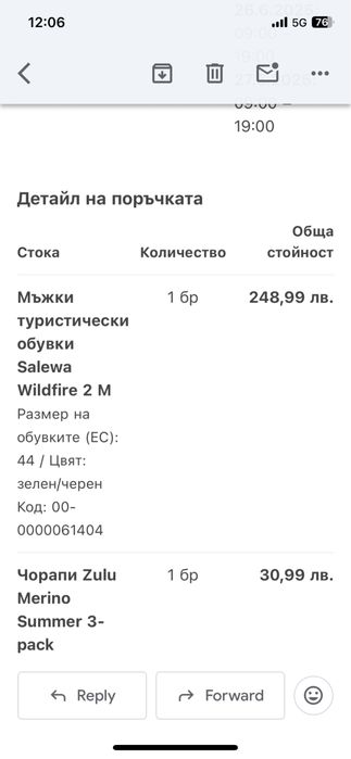 Salewa Wildfire 2M мъжки