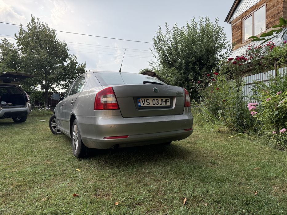 Skoda Octavia 1.6 TDI / 105 cp / 2010 / DPF activ