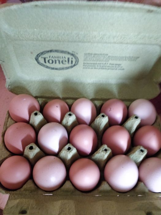 Oua de tara din gospodarie la cofrag de 30 oua