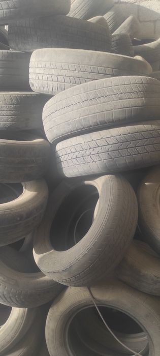 1000 ta yaroqsiz bolon