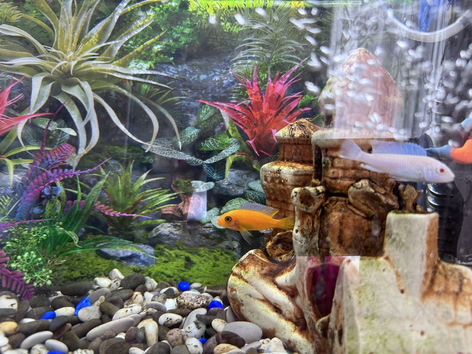 Продам аквариум 60 литров