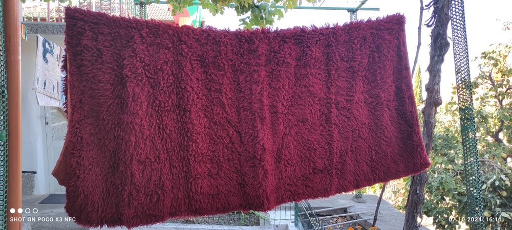 Вълнен китеник/губер/реснак