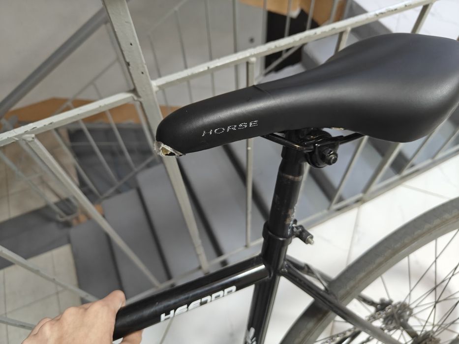 Horse HSE700 fixed gear