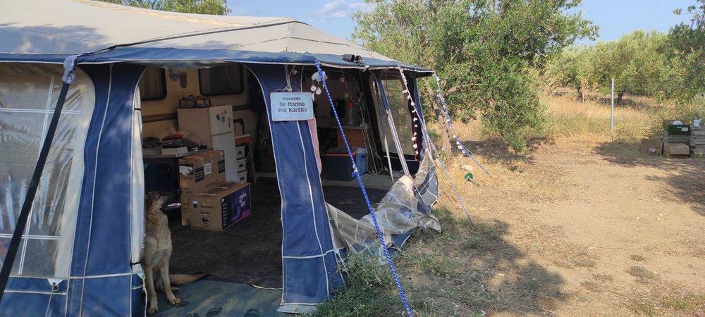 Форселт Изабела пента голд размер 1025